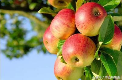 宝宝腹胀怎么样有效解决,宝宝出现腹胀怎么解决