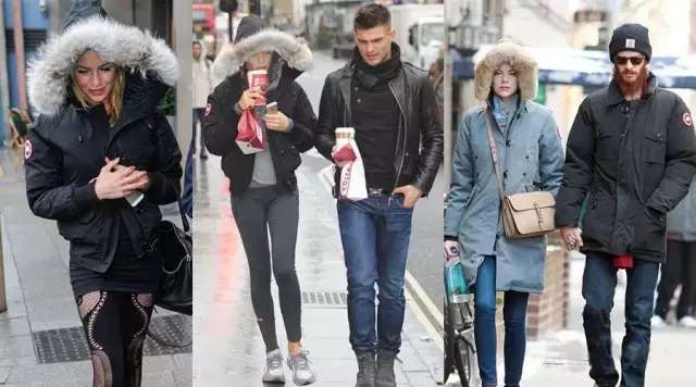 万人迷“加拿大鹅”要上市，揭秘凭什么这些老树能开花