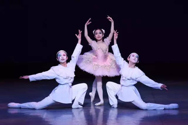 星光大赏明星获奖,星光璀璨综艺冠军