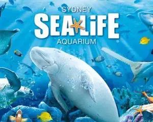 澳洲旅游攻略必带物品清单,澳洲旅游攻略需要花费多少钱