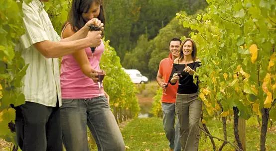 澳洲旅游攻略必带物品清单,澳洲旅游攻略需要花费多少钱