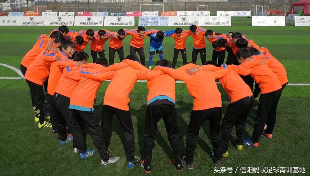 信阳蚂蚁足球俱乐部,河南信阳蚂蚁足球俱乐部有限公司