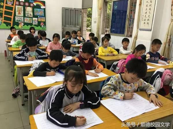 容里书院小学怎么样,容里书院小学校园