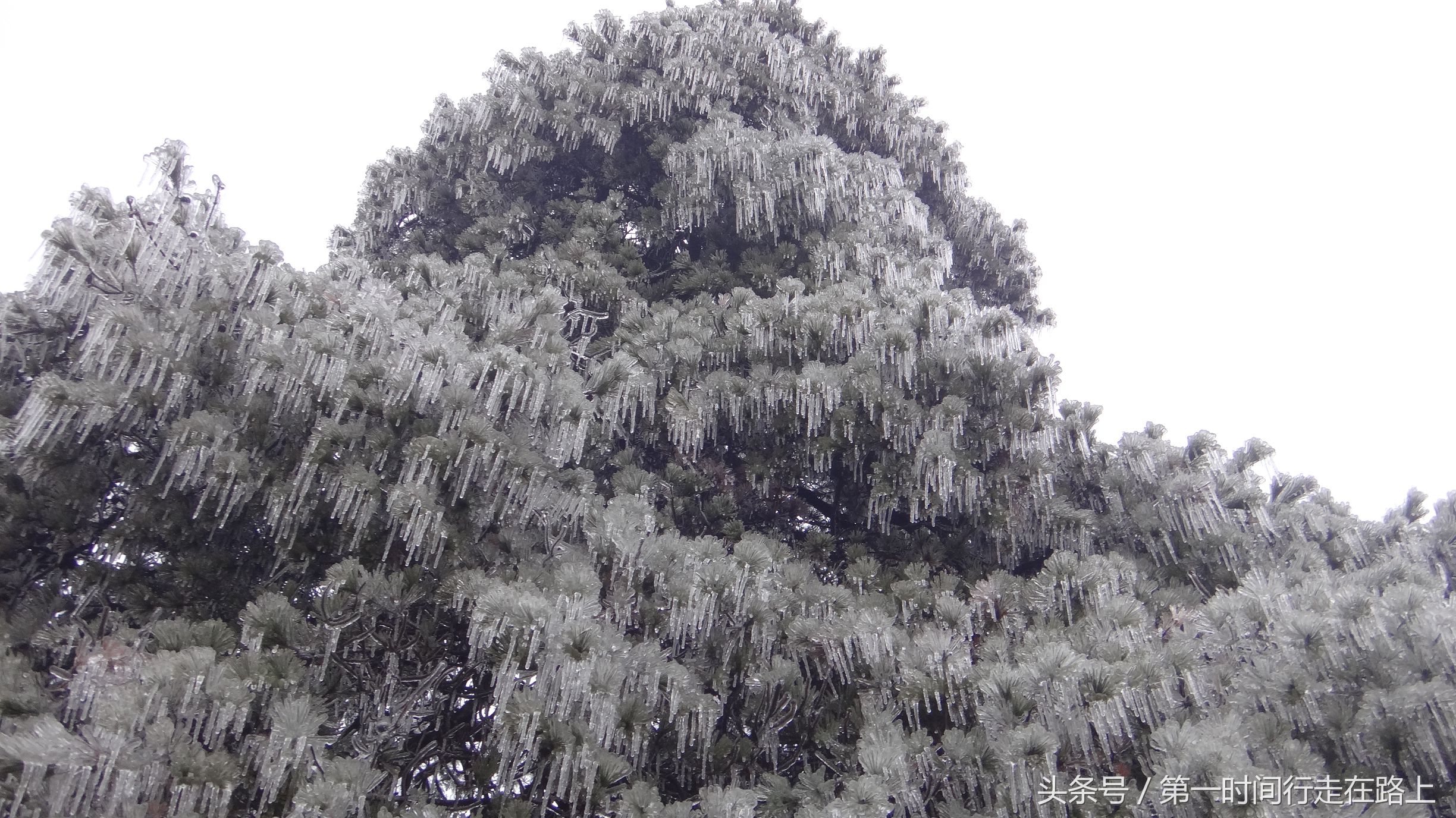 张家界浪漫之地,张家界最浪漫的婚纱
