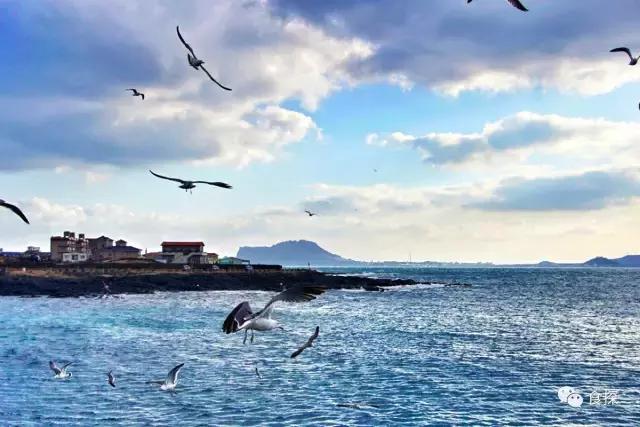 济州岛可以看海也可以吃,济州岛五天四夜逛吃之旅