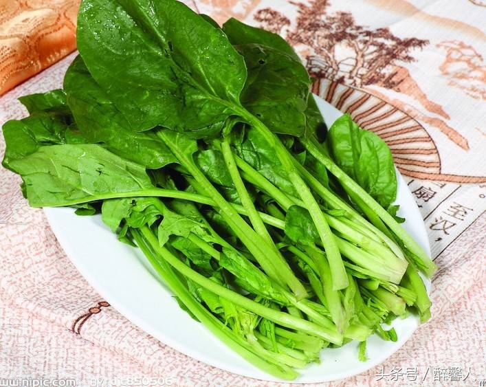 宝宝辅食之春季蔬菜时令篇