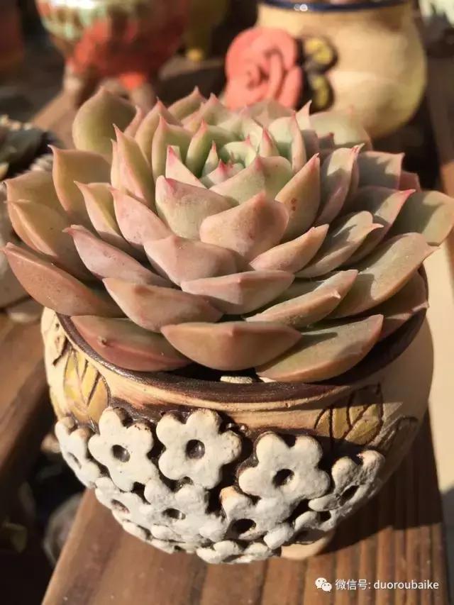 当大妈遇见帅哥,当大妈爱上邻家男孩