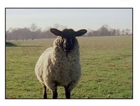 burberry2018时装周,伦敦时装周burberry2024春夏