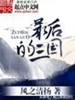 幽默版三国小说,三国之巅峰小说