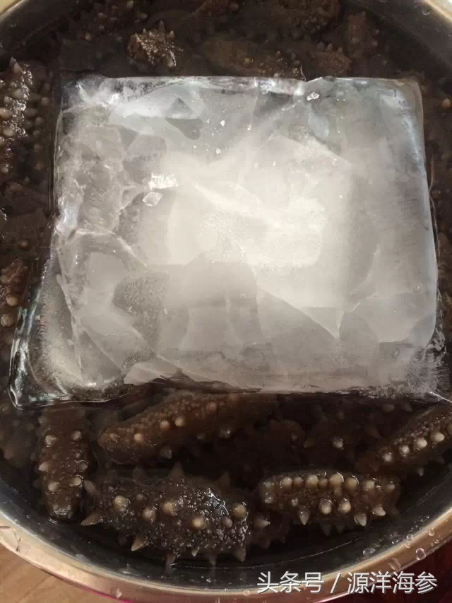 鉴别海参真假视频,辨别即食海参真假