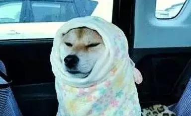 寿光寒潮预报,寿光冷空气预报