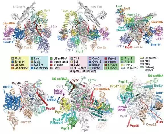 2021年中国科技成果回顾总结,2021年中国重大科技