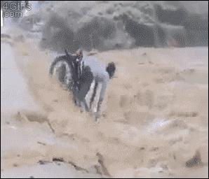 赔？不赔？看完秒变老司机