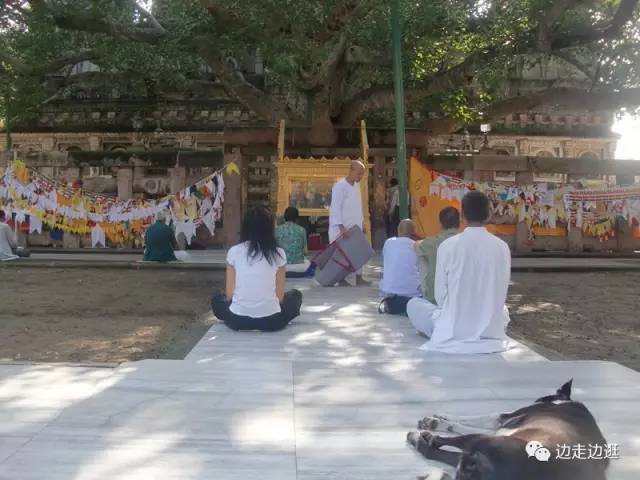 印度看病大师,印度医生看病视频