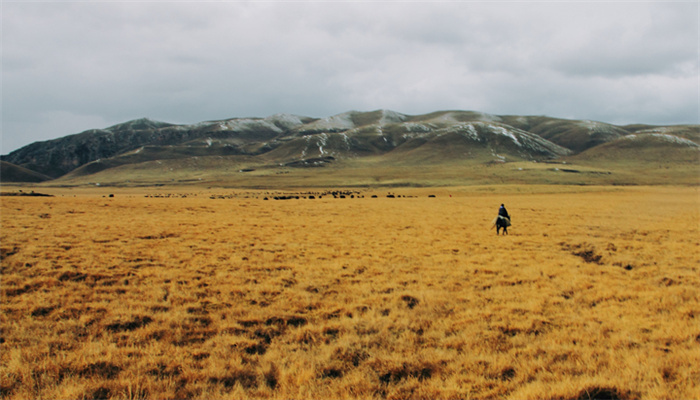 成都租车自驾去拉萨费用是怎么算的？大概涉及哪些方面？