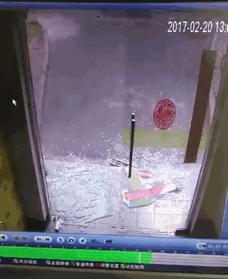 猫咪老撞玻璃门,狗撞过玻璃门