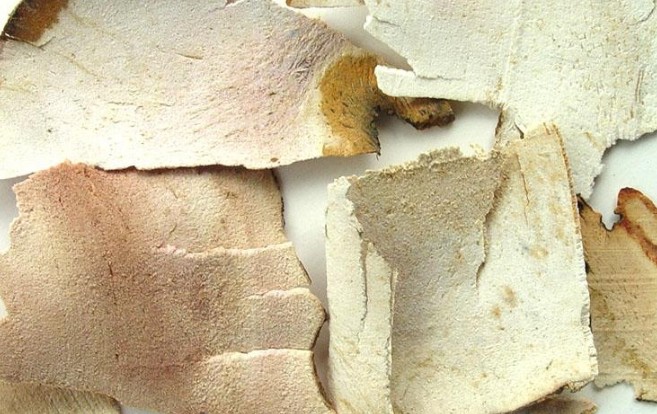 孩子起了湿疹下不去，中医有一个小偏方既安全又有效！