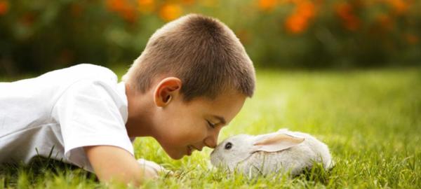 学平险是什么意思有必要买吗,什么是学平险到底要不要买