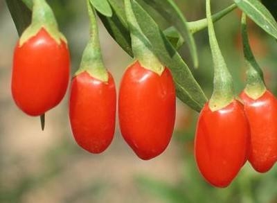 更年期来了该怎么调理,更年期来了有什么办法可以预防