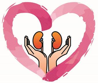 「健康」尿常规报告上这几个指标，告诉你肾好不好！