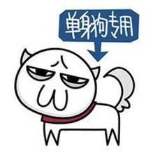 谁说情人节要送花,谁说情人节一定要送玫瑰花