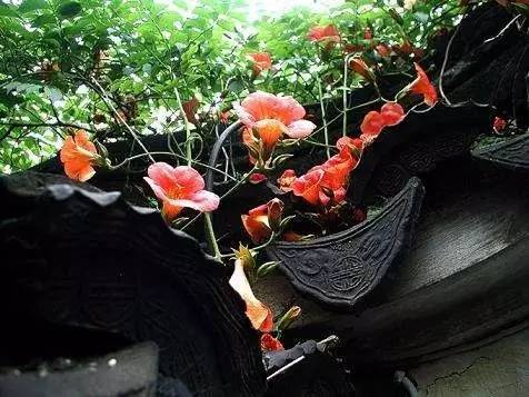 「诗词原创」陈天恩｜空房独自频观月一寸相思几断肠？