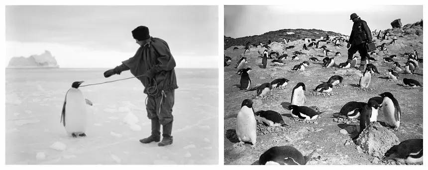 一封来自深海的情书,一封来自雪山的情书