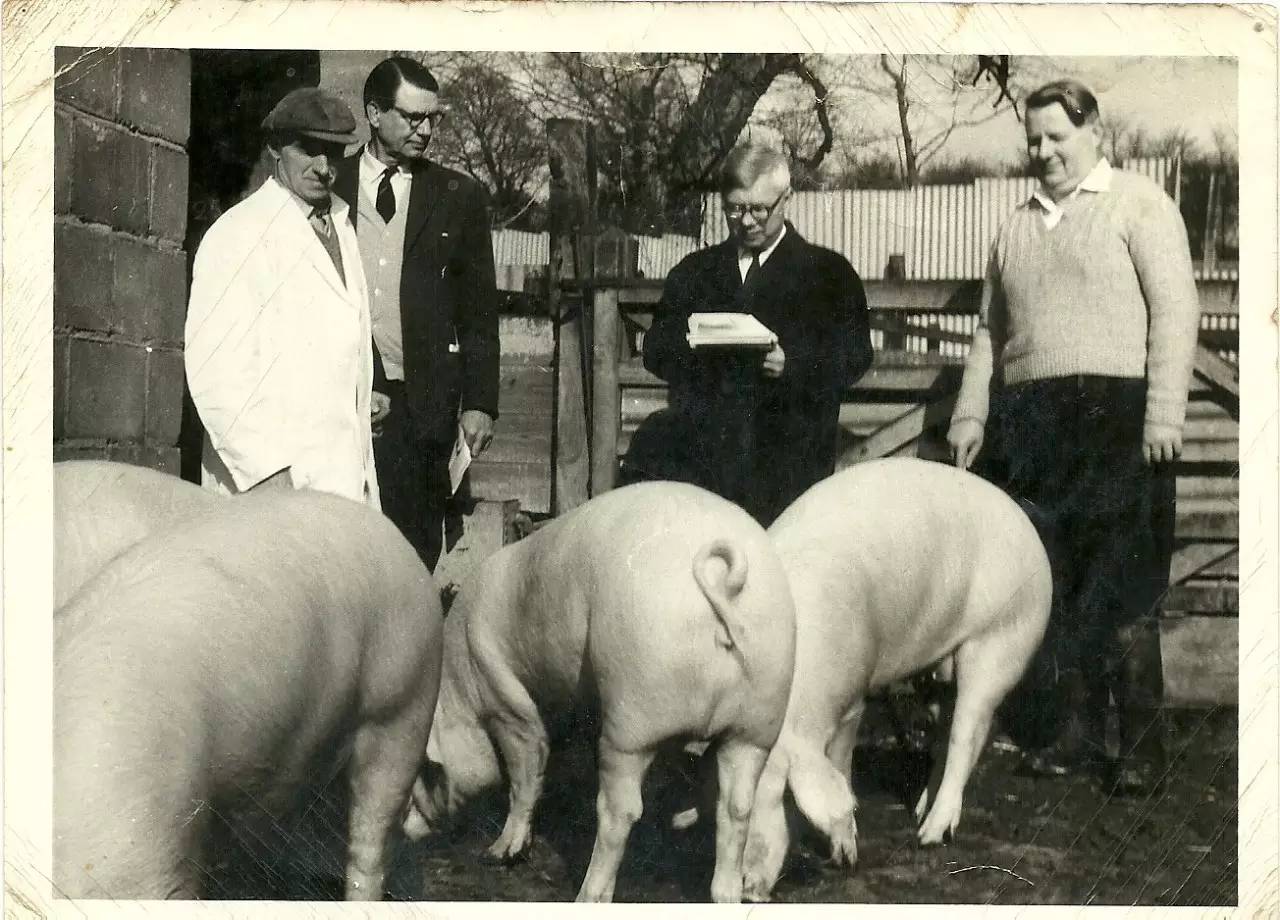 英国乡村隐居纪录片,英国田园纪录片