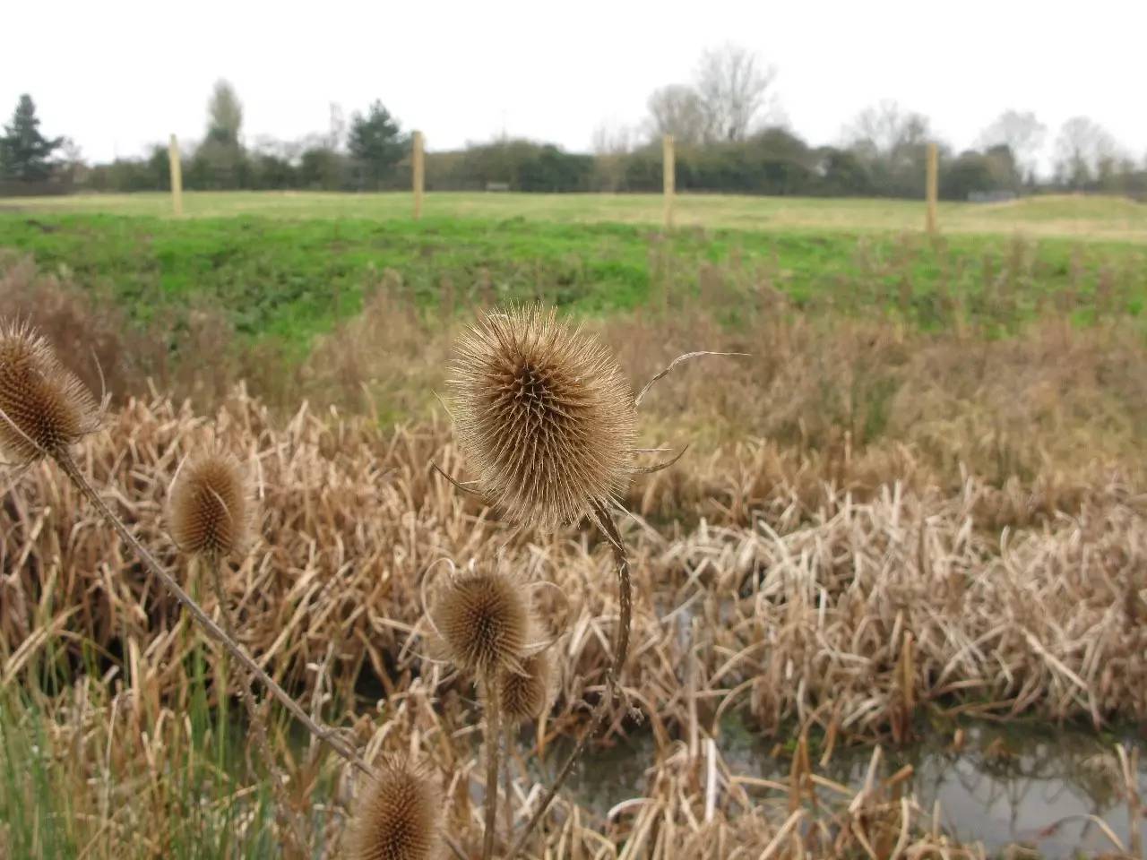 英国乡村隐居纪录片,英国田园纪录片