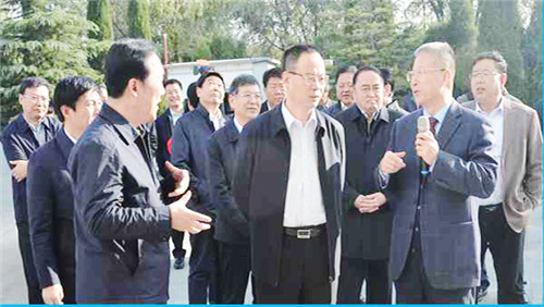 齐都药业口服制剂综合体,齐都药业干细胞生发