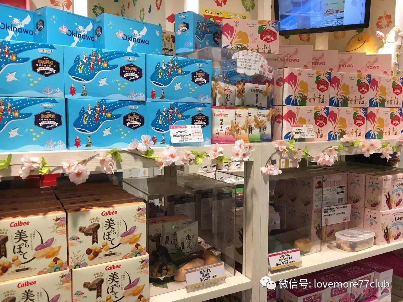 冲绳石垣岛亲子游攻略,冲绳亲子游最佳路线图冬天