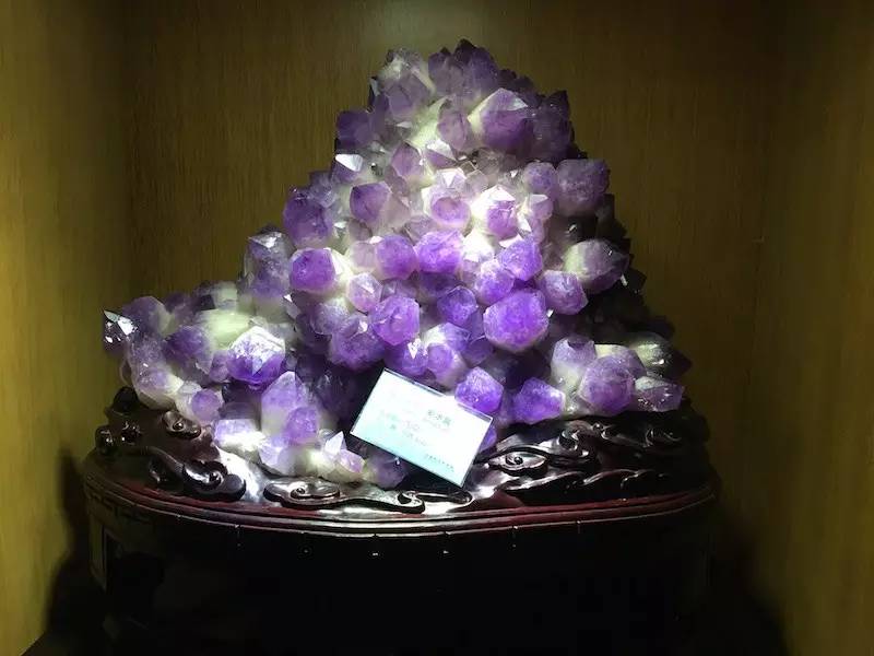 上海地质科普馆鸵鸟,上海地质博物馆有哪些石头