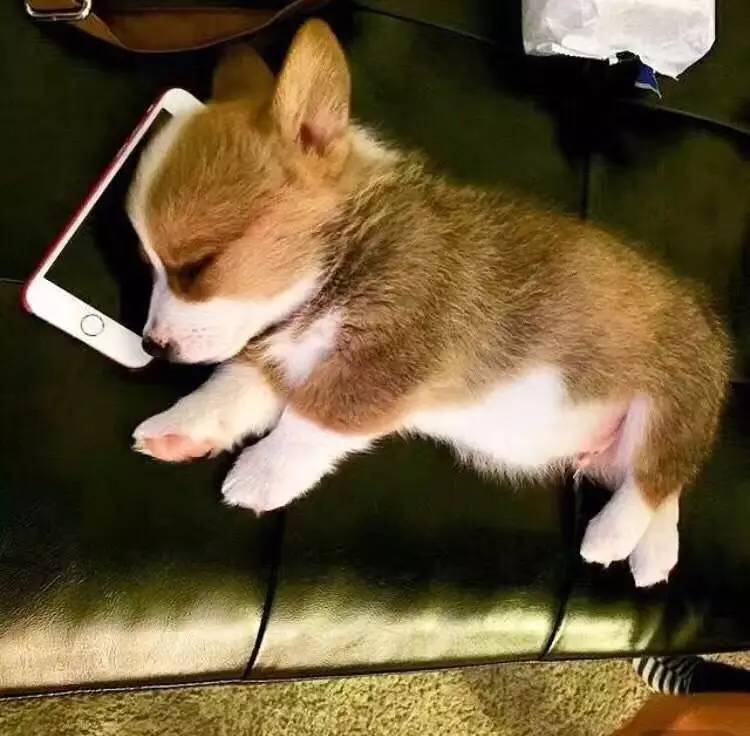 直男送你什么礼物好,情人节直男送的礼物合集