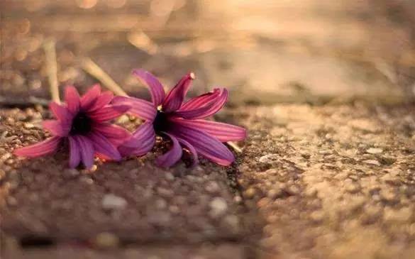 「诗词原创」陈天恩｜空房独自频观月一寸相思几断肠？