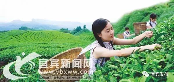 瀹滃鍍伴亾,瀹滃鍍拌尪