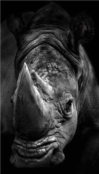 知书丨如果这场比赛我们都不想赢呢？