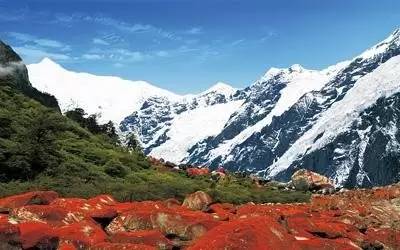 官宣全部免费455家景区名单公布,官宣又一批景区免费打折清单来了