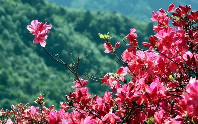 近期福州发生的大事,福州最近的大事是什么