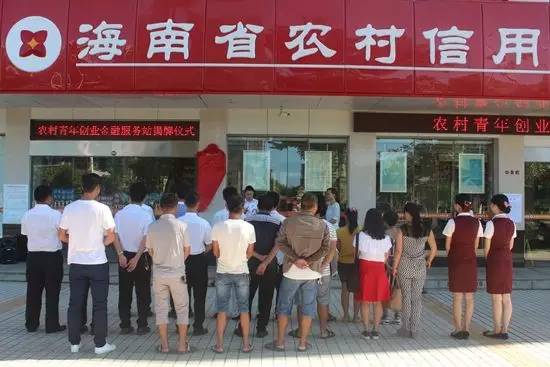 2016中国三农十大创新榜样｜海南农信社的小额信贷，不仅给农户*款贷**，更帮农民挣钱！