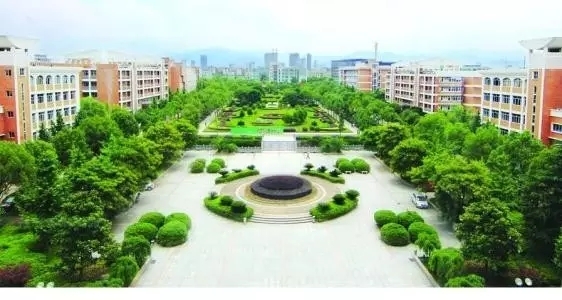 小学生一幅树叶画,秋天树叶图片卡通画