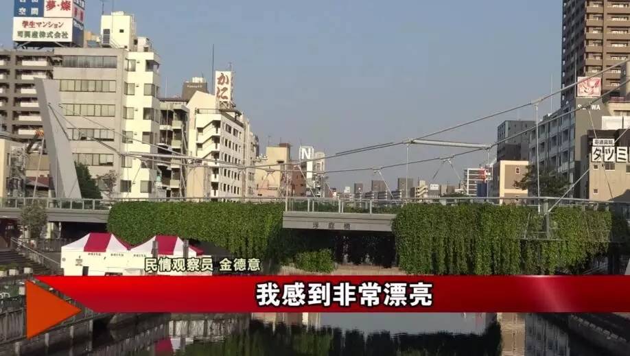 这份为了杭州的“垂直绿化”倡议书，请您查收！