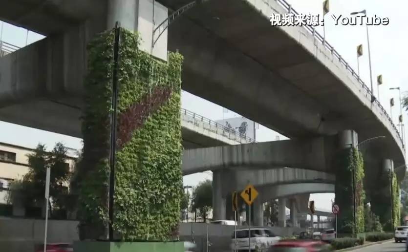 这份为了杭州的“垂直绿化”倡议书，请您查收！