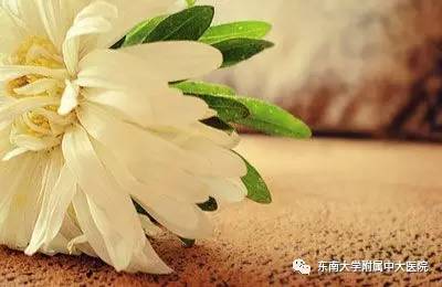 孕产妇得痔疮的原因,孕产妇痔疮