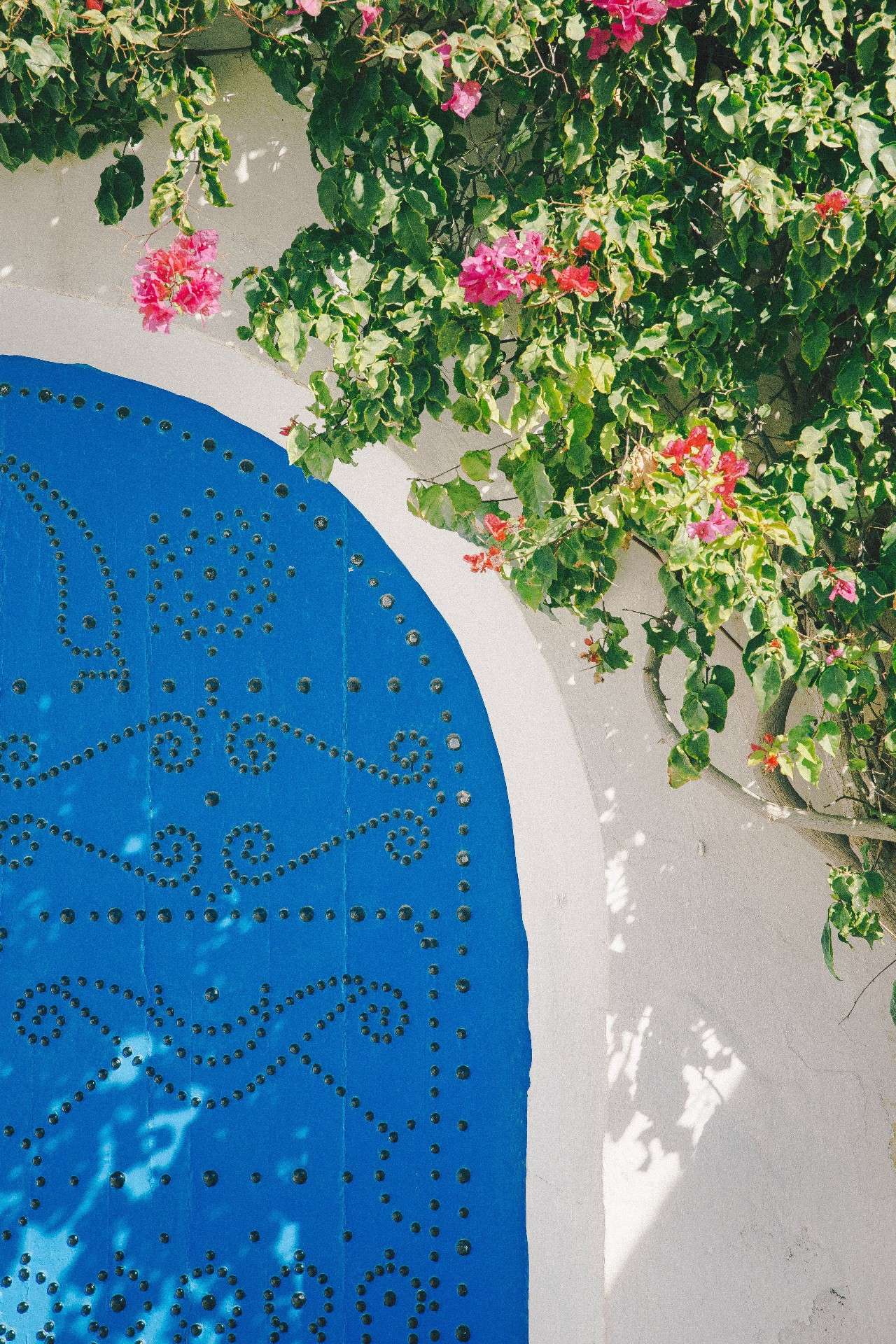 突尼斯免签国家名单,突尼斯又免签了吗