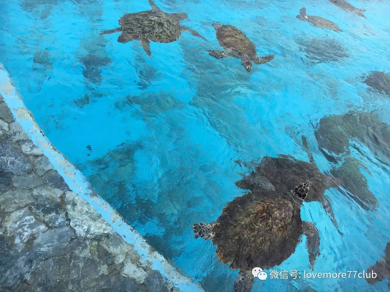 冲绳石垣岛亲子游攻略,冲绳亲子游最佳路线图冬天