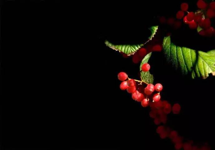 「诗词原创」陈天恩｜空房独自频观月一寸相思几断肠？