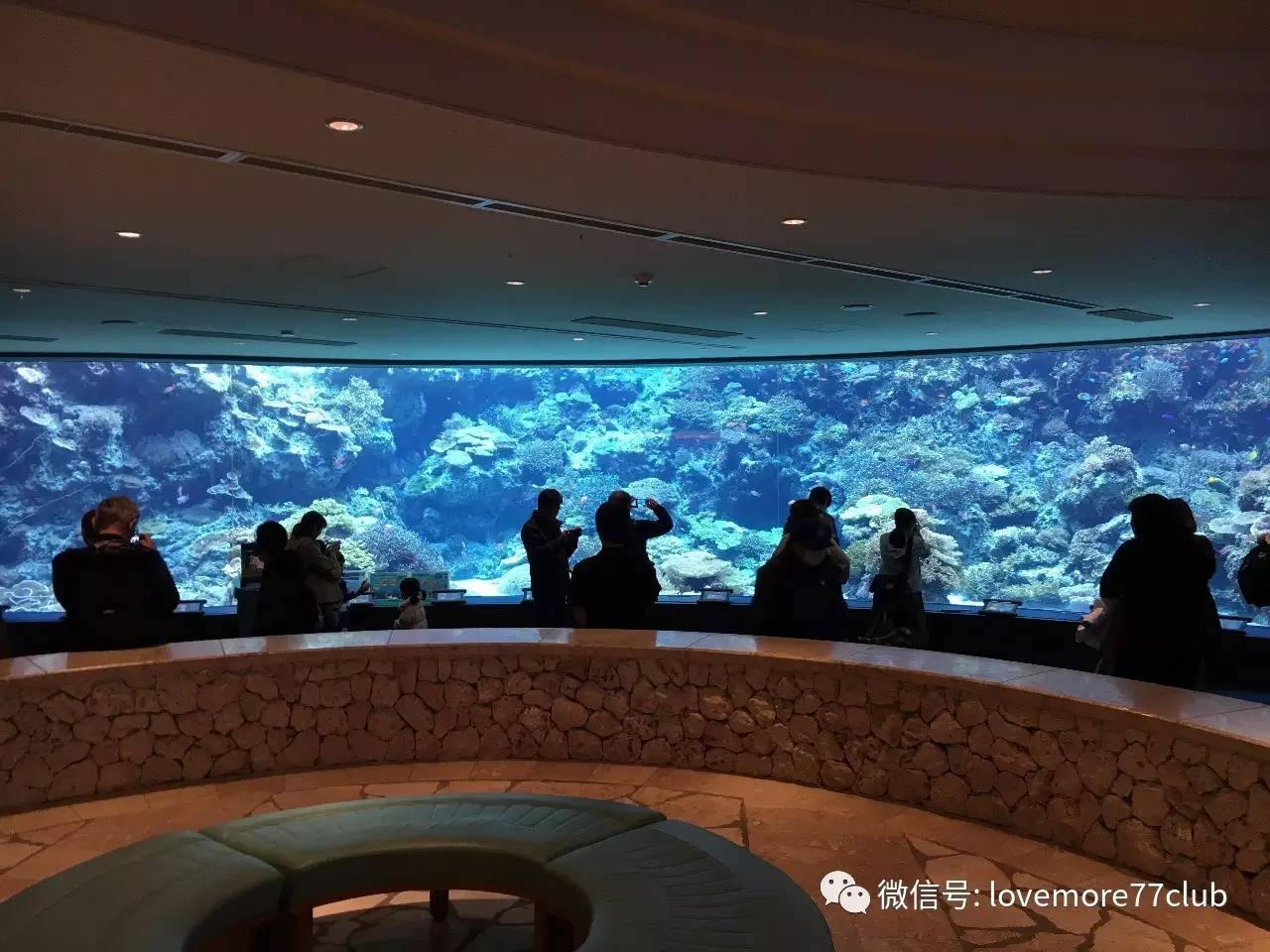 冲绳石垣岛亲子游攻略,冲绳亲子游最佳路线图冬天