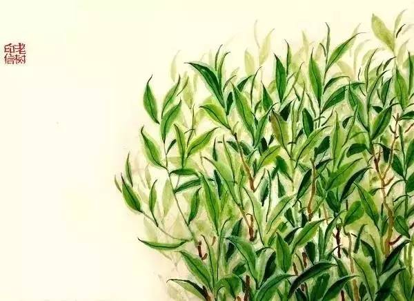 瀹滃鍍伴亾,瀹滃鍍拌尪