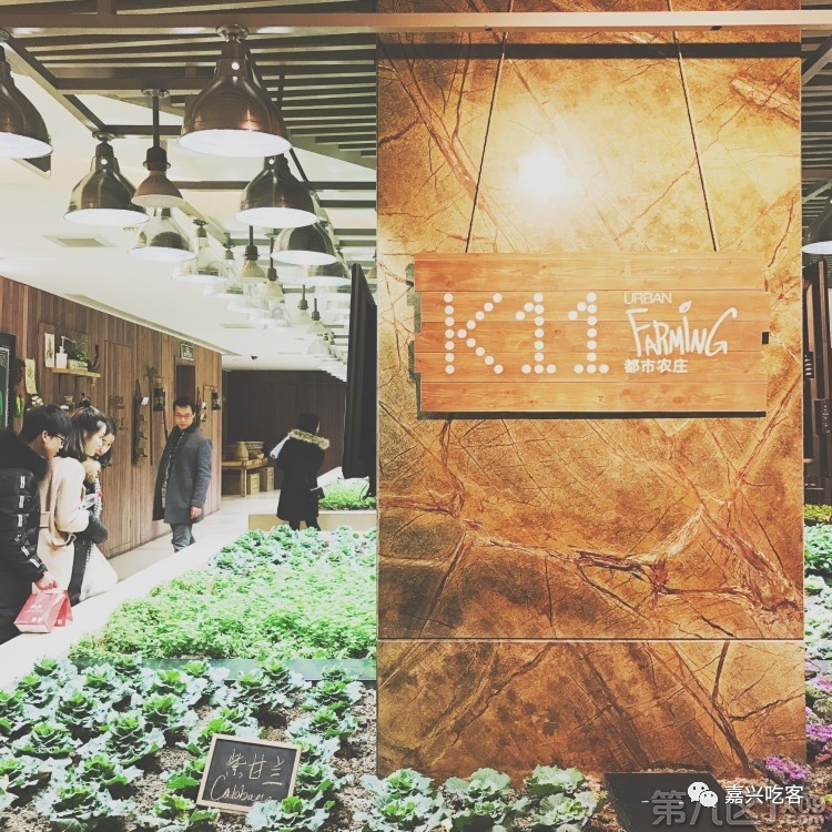 什么？据说不到五十元人民币就能来回韩国？我信了！NO.505