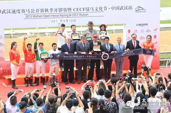 2014马术文化节,鄂尔多斯驭马文化节